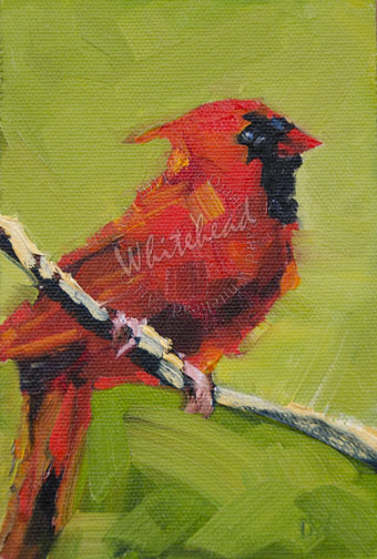340x504 Daily Painters Abstract Gallery Cardinal Bird Art Oil Painting - Abstract Cardinal Painting