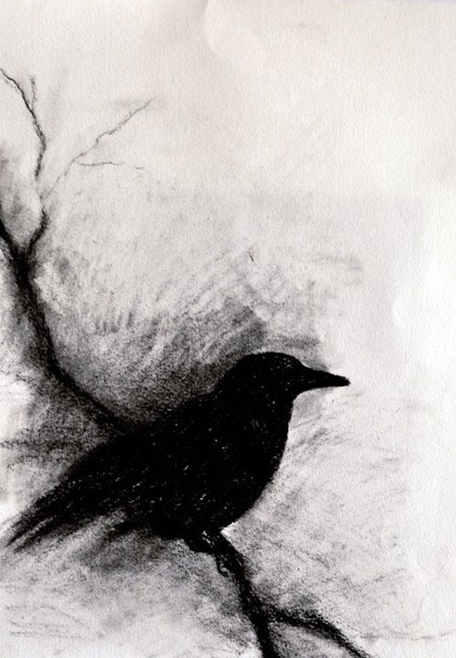 500x721 Original Charcoal Drawing Crow On A Branch Dark Halloween Gothic - Abstract Crow Painting