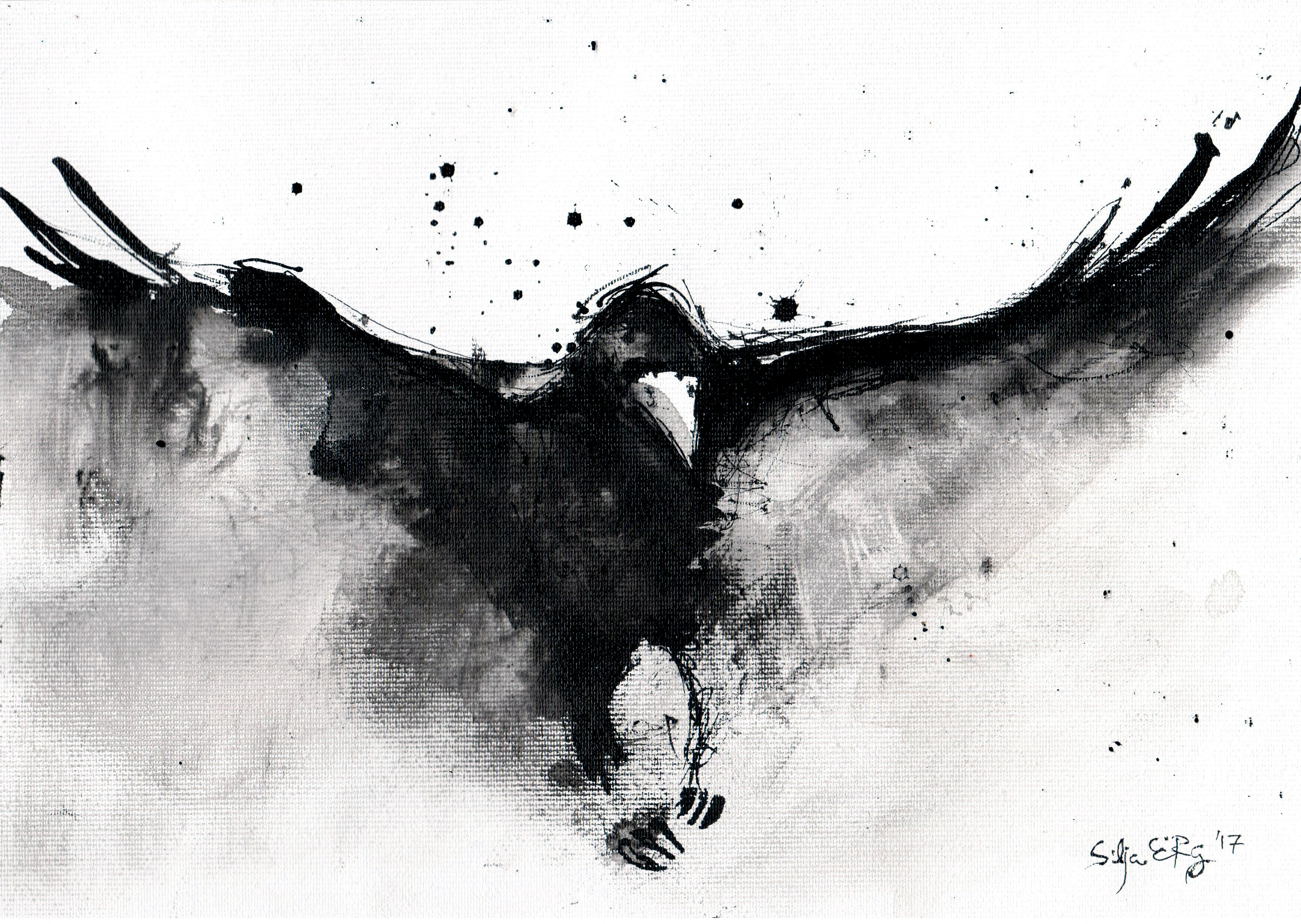 3454x2454 Abstract Raven Art Drawings By 5erg - Abstract Crow Painting