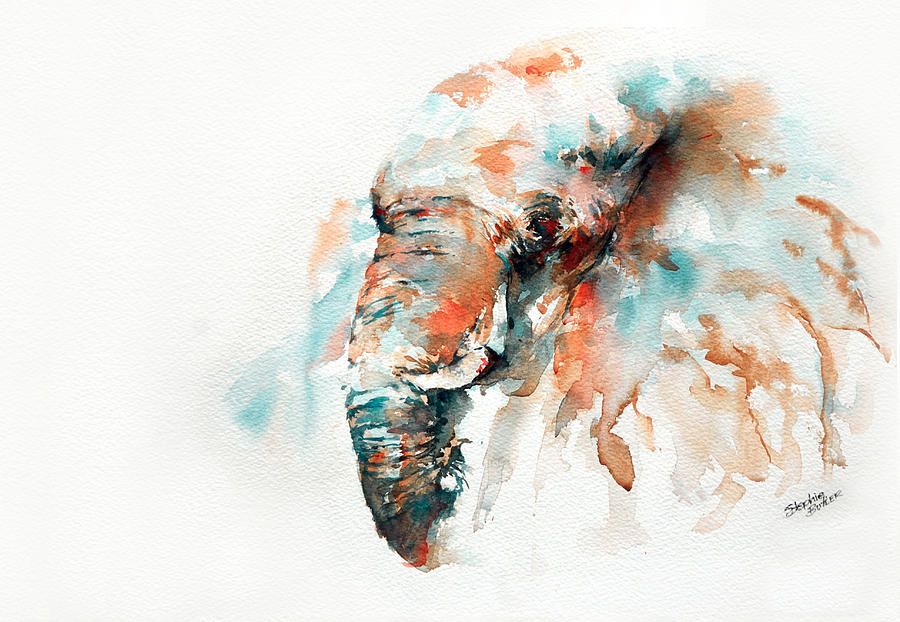 900x622 Stephie Butler Watercolor Animals In Watercolour - Abstract Elephant Painting Watercolor