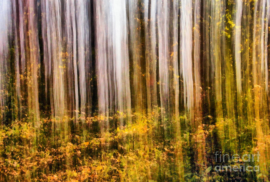 900x606 Colorful Abstract Forest Painting Painting By Odon Czintos - Abstract Forest Painting