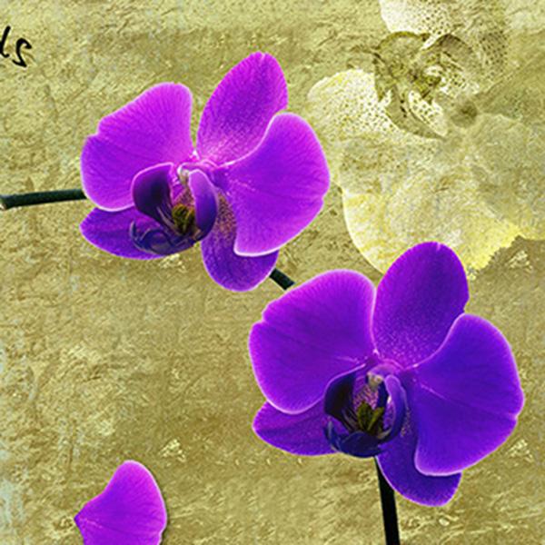 Abstract Orchid Painting at PaintingValley.com | Explore collection of ...