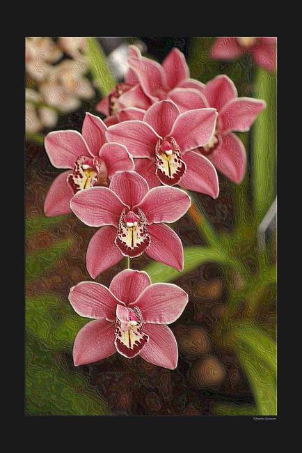 434x650 Abstract Orchid Painting By Gale T - Abstract Orchid Painting