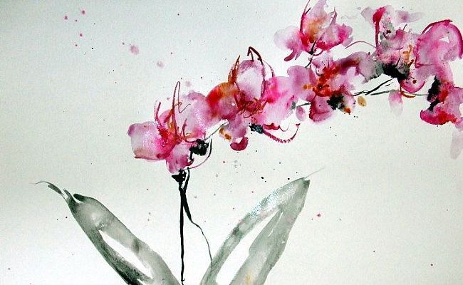 650x400 Abstract Orchid Art Href Http Fineartamerica Com Art Paintings - Abstract Orchid Painting