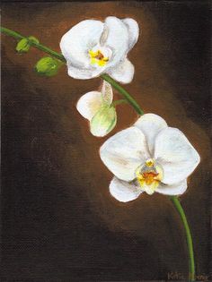 236x315 Paintings Of Orchids In Acrylic Orchid Acrylic Painting - Abstract Orchid Painting