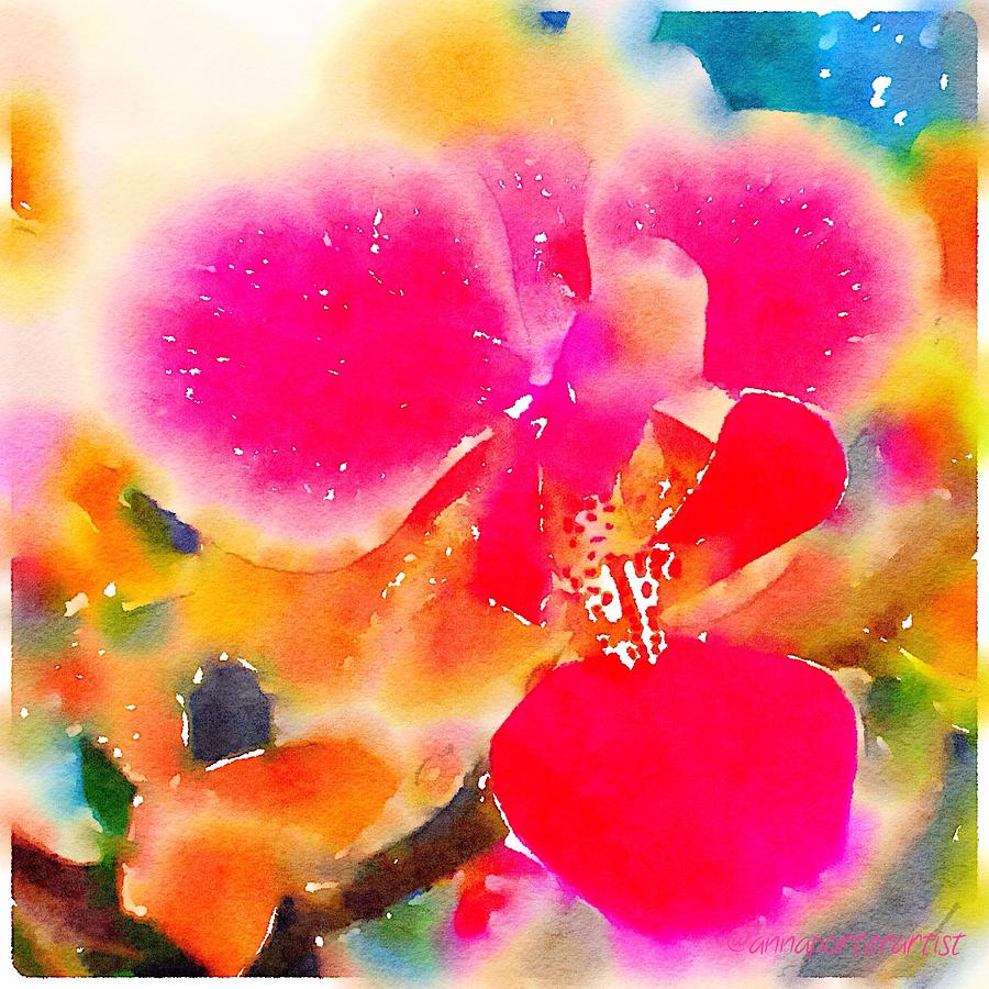 900x900 Color Me Bright Abstract Orchid Painting By Anna Porter - Abstract Orchid Painting