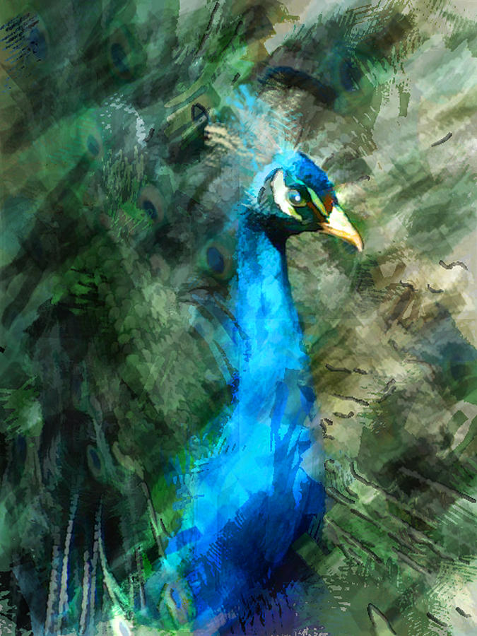 675x900 Abstract Marker Sketch Of Peacock Painting By Elaine Plesser - Abstract Peacock Painting