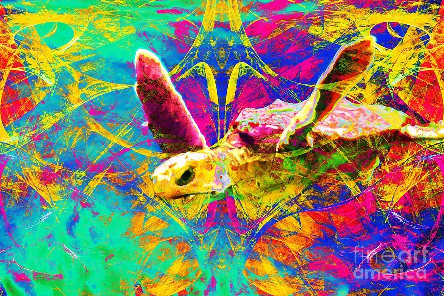 900x600 Sea Turtle In Abstract V2 Photograph By Wingsdomain Art - Abstract Turtle Painting