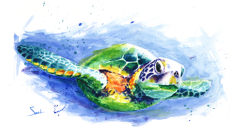1000x571 Sea Turtle Watercolor Original Painting Watercolor Animal Paintings - Abstract Turtle Painting