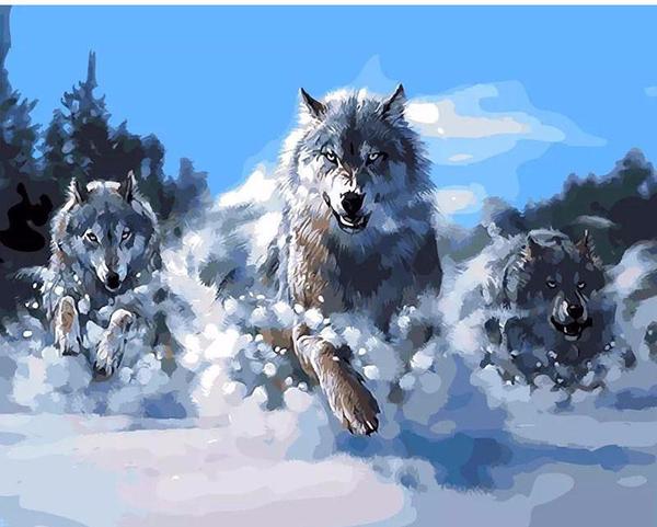 600x481 Diy Painting By Numbers - Abstract Wolf Painting