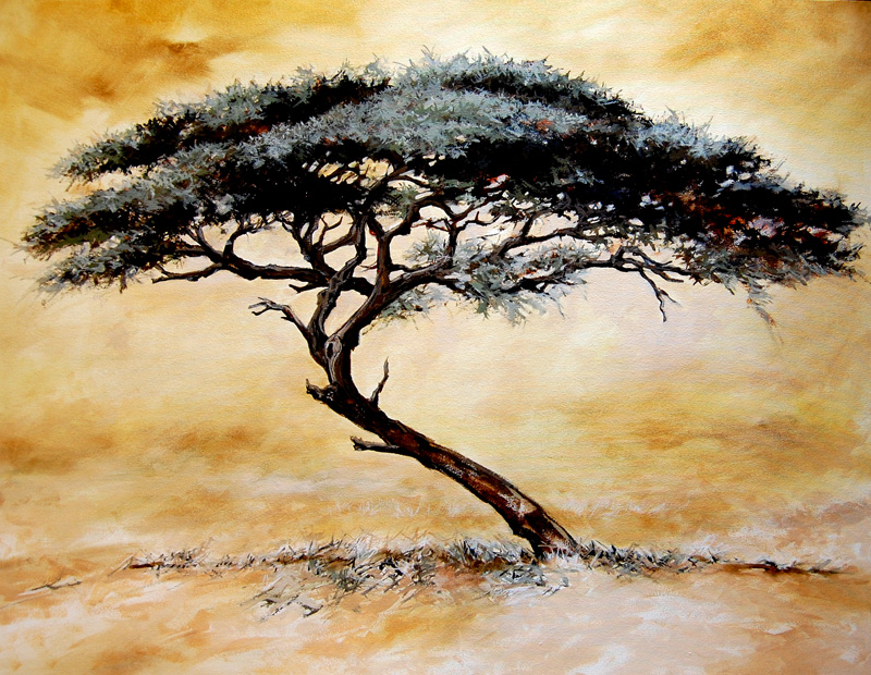 800x620 Terry Kobus - Acacia Tree Painting