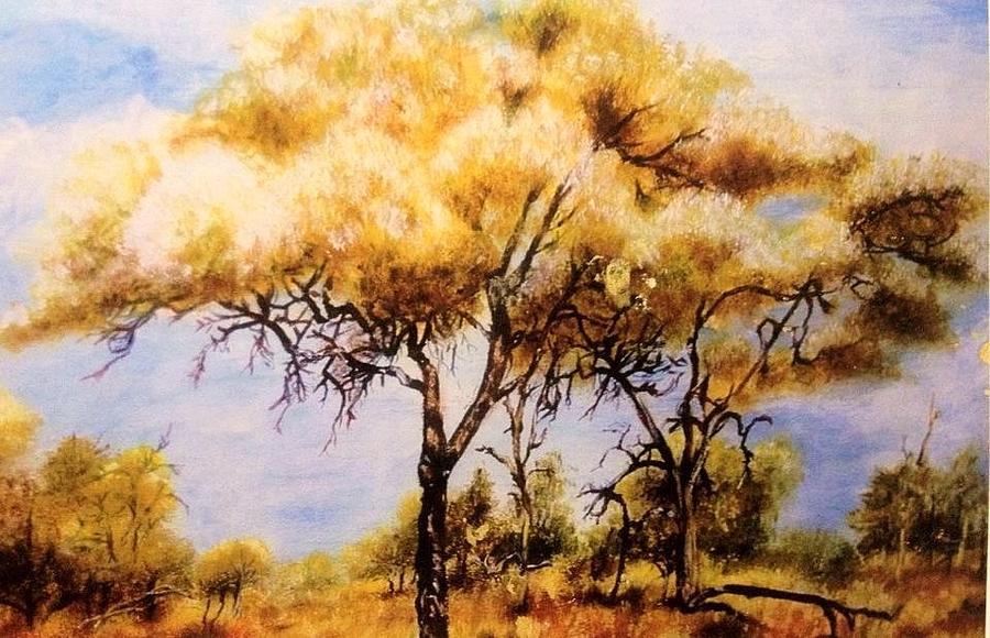 900x580 Acacia Tree In The Bushveldt Painting By Cecilia Putter - Acacia Tree Painting