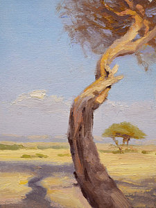 225x300 Acacia Tree Paintings Fine Art America - Acacia Tree Painting