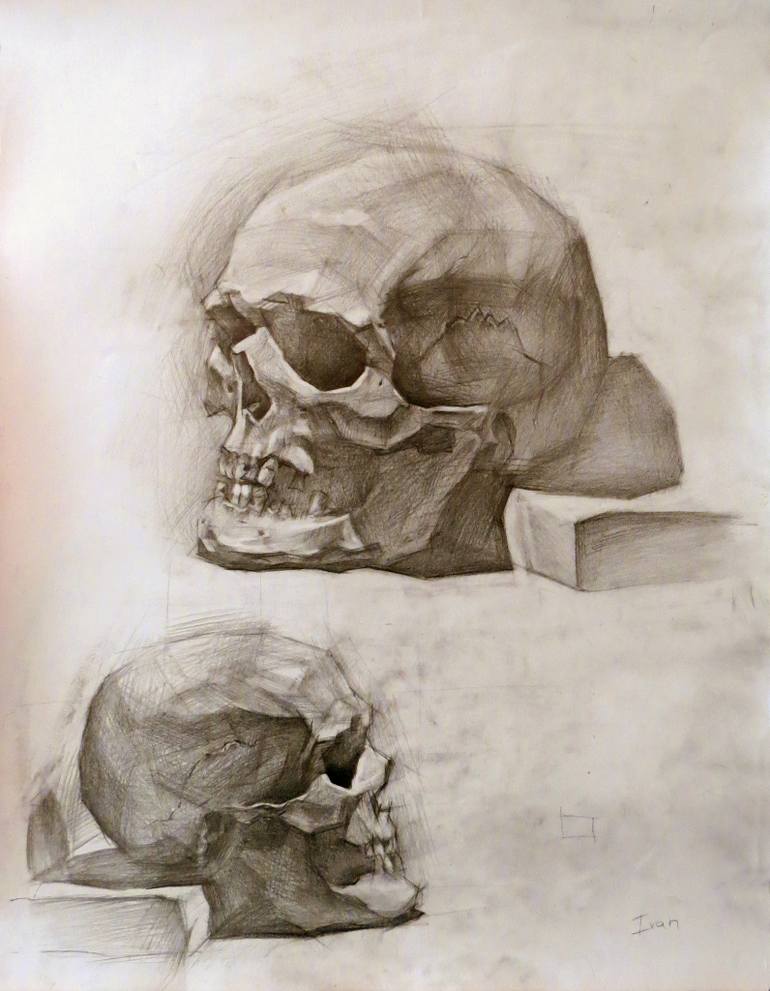 770x991 Saatchi Art Academic Study Drawing. Skull. Drawing By Ivan Onnellinen - Academic Painting