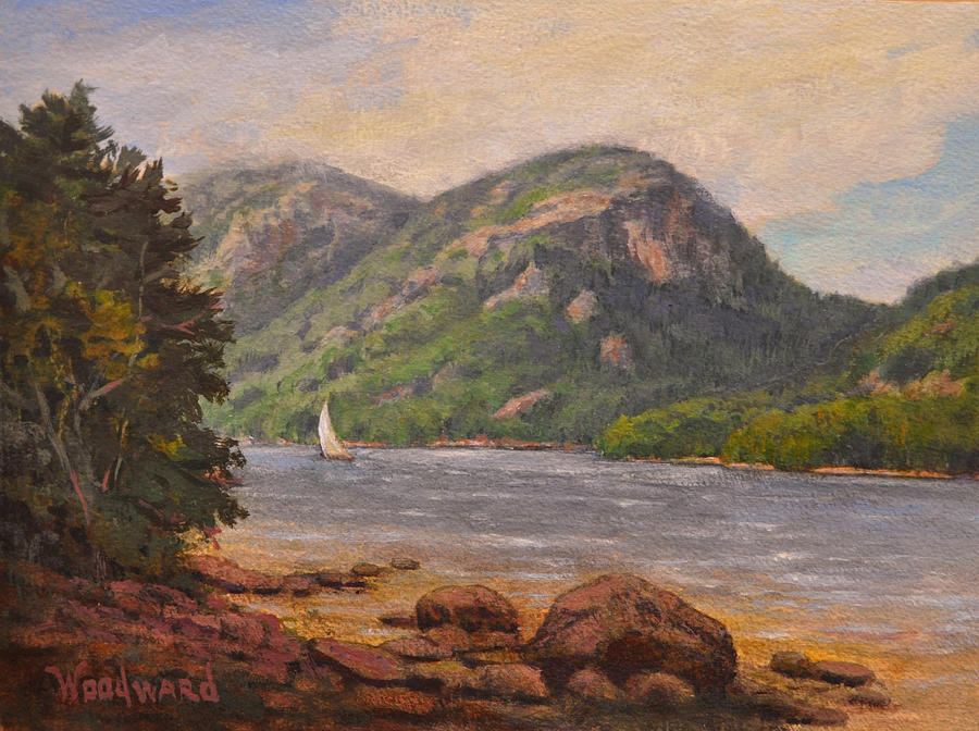 900x672 The Bubbles Acadia Painting By Lori Woodward - Acadia Painting