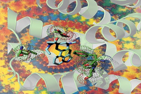 480x320 This Is Why Acid Trips Last So Long Highsnobiety - Acid Trip Painting