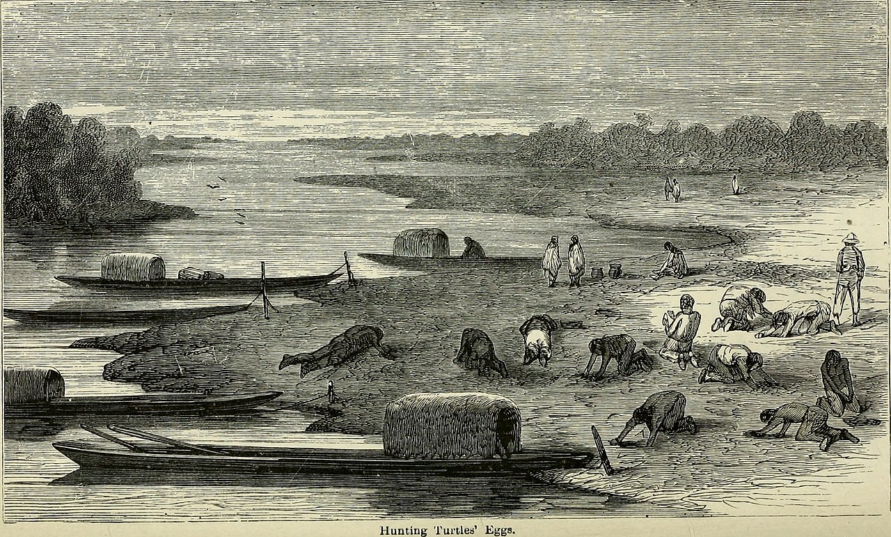 1280x771 Filethe Andes And The Amazon Bor Across The Continent Of South - Across The Continent Painting