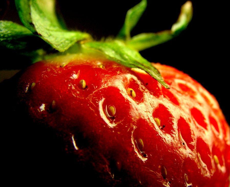 900x731 Across.the.universe. By Creativsis - Across The Universe Strawberry Painting