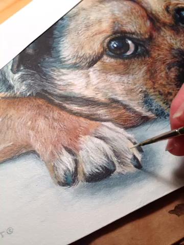 360x480 How To Paint A Dog Portrait - Acrylic Dog Painting