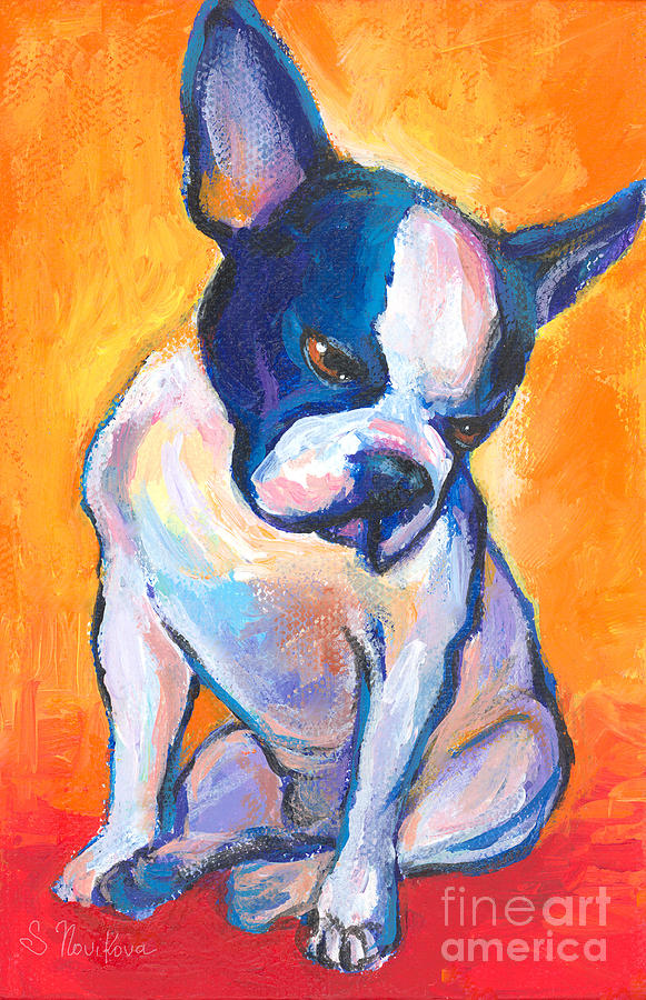 581x900 Pensive Boston Terrier Dog Painting By Svetlana Novikova - Acrylic Dog Painting
