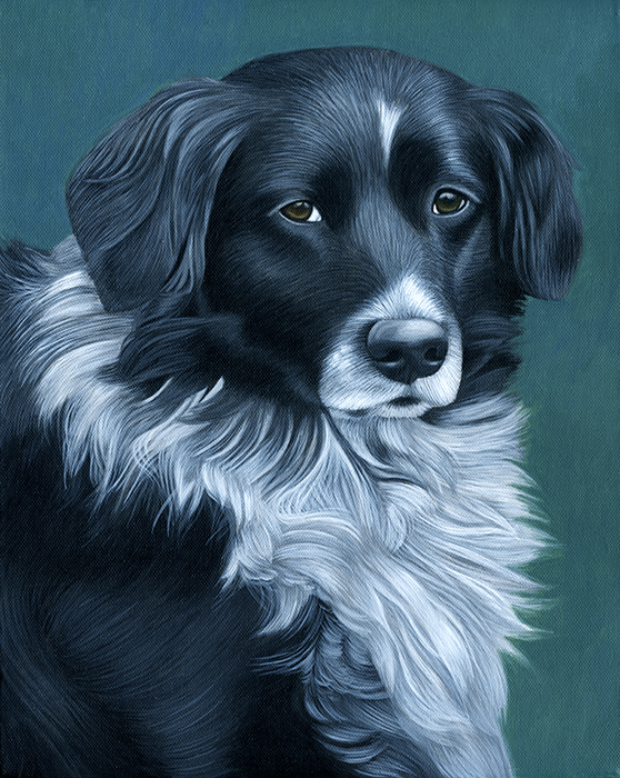 558x700 Advantages And Disadvantages Of Acrylic Paint Pet Portraits By - Acrylic Dog Painting