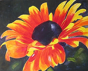 300x241 How To Paint A Flower With Acrylics Step By Step - Acrylic Flower Painting