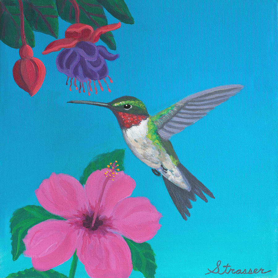 899x900 Hummingbird Heaven Painting By Frank Strasser - Acrylic Hummingbird Painting