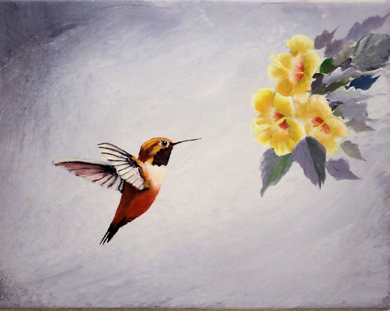 570x454 Paintings Of Birdsnd Flowersnd Wildlifert Paintings - Acrylic Hummingbird Painting