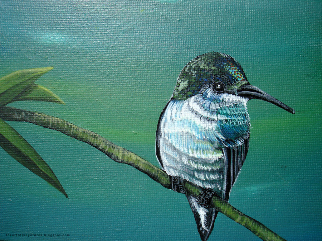 1032x774 Acrylic Painting - Acrylic Hummingbird Painting