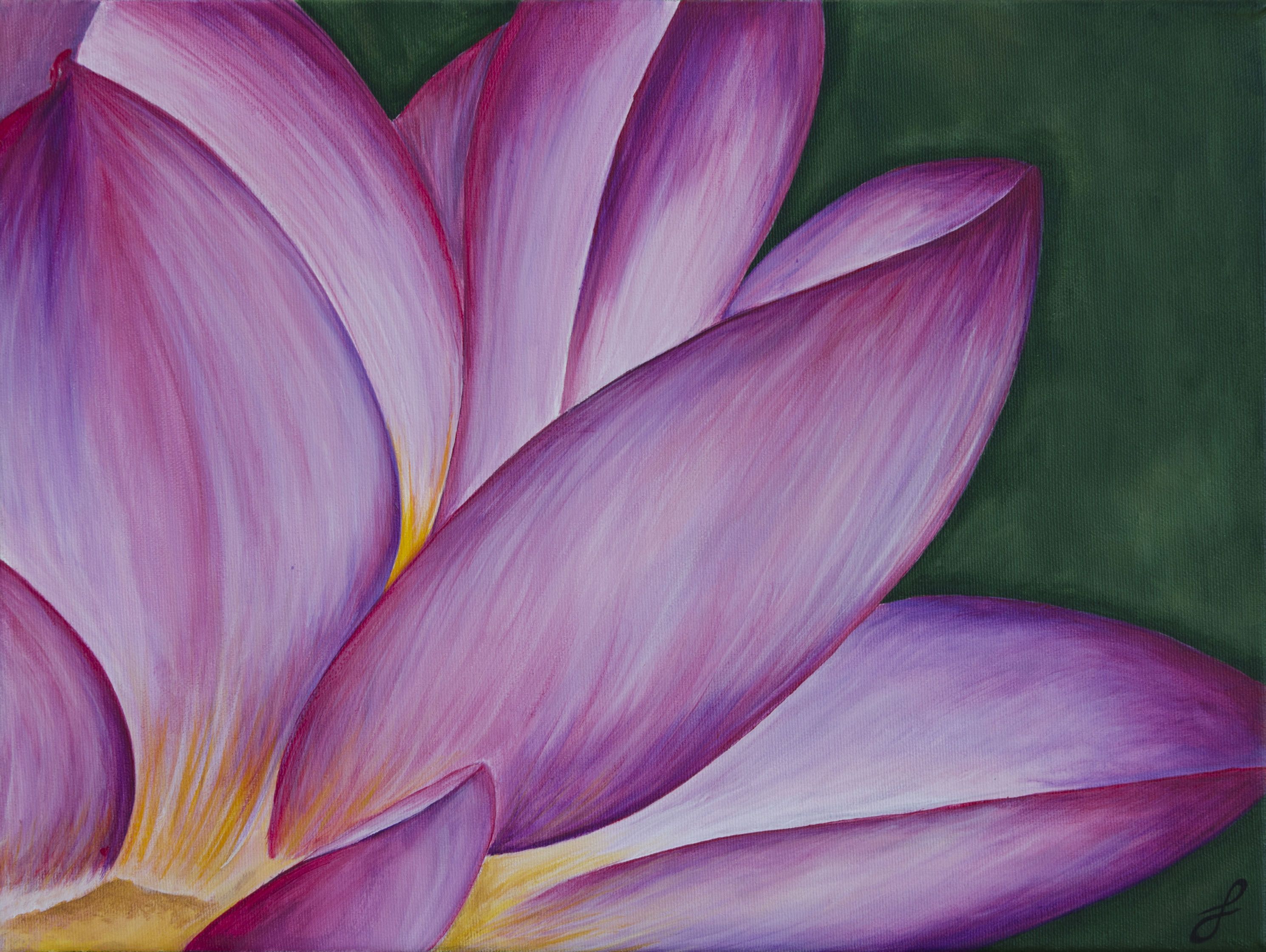 2979x2240 Lotus Flower Acrylic Painting I Want - Acrylic Lotus Flower Painting