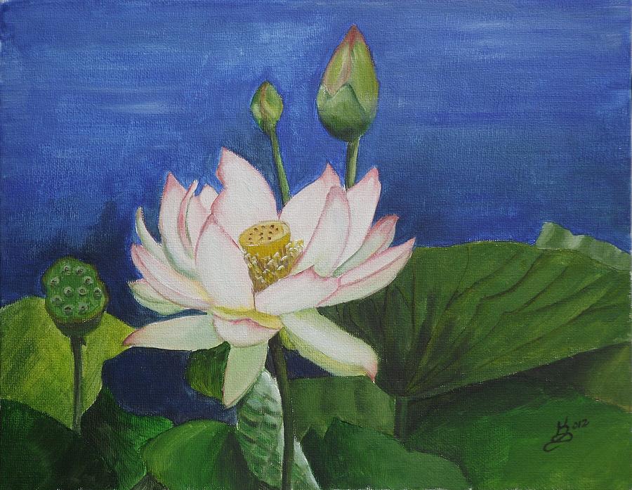900x697 Lotus Flower Painting By Kim Selig - Acrylic Lotus Flower Painting