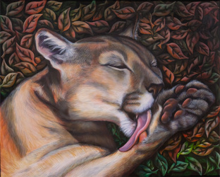 312x250 Gallery Of South American Animals, Acrylic Painting By Canadian - Acrylic Painting For Beginners Animal