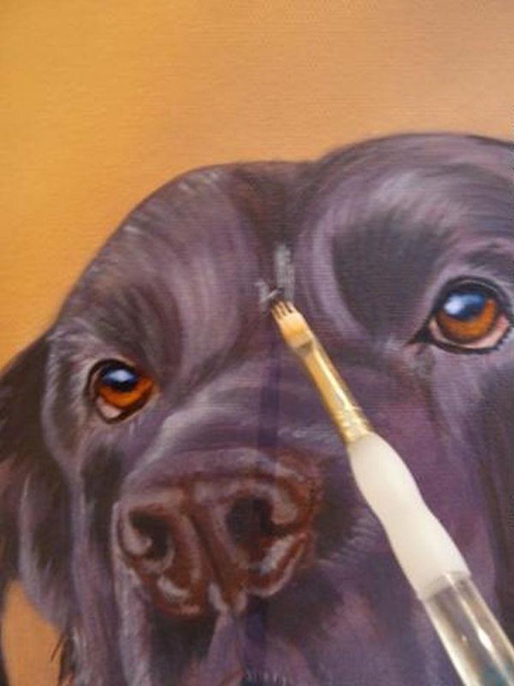 750x1000 How To Paint A Dog In Acrylics Arttutor - Acrylic Painting For Beginners Animal