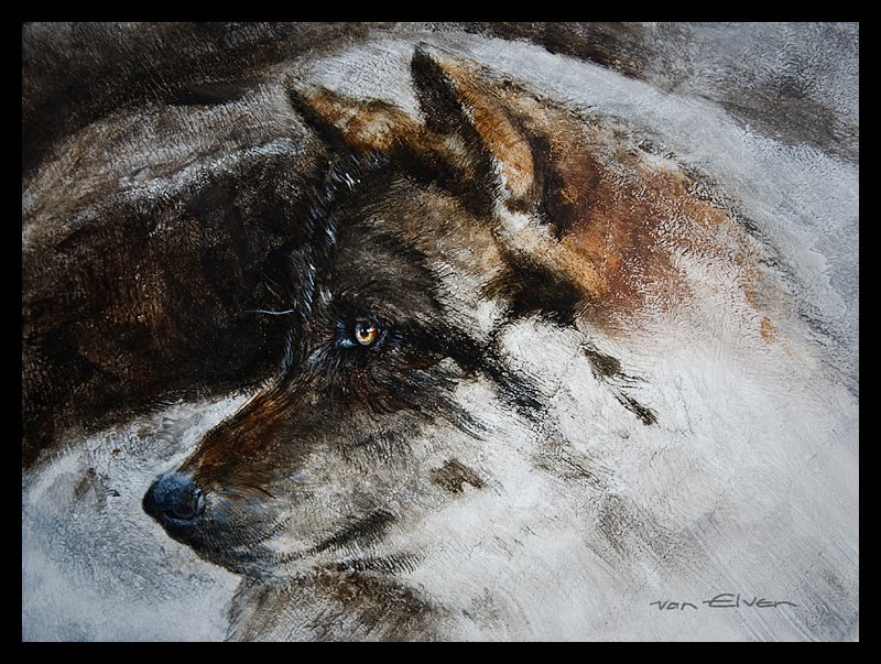 800x603 Wolf Painting Acrylic Paintings And Sketches By Erik Van Elven - Acrylic Wolf Painting