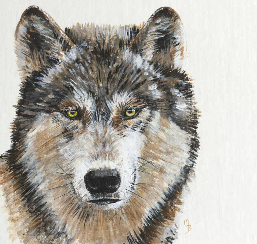 900x853 Wild Grey Wolf Original Acrylic Painting By Mollieart - Acrylic Wolf Painting