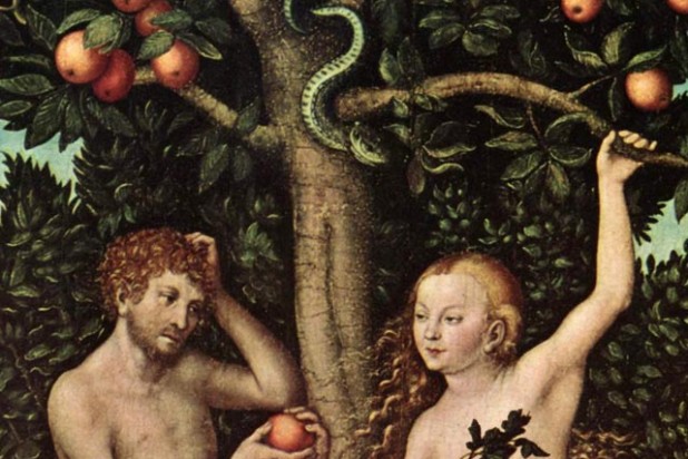618x412 Tumblr Found Proof Eve Was Innocent This Whole Time And Adam Was - Adam And Eve Apple Painting