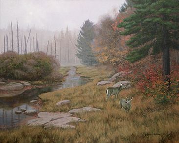 366x292 Adirondack Landscape, Whitetail Deer - Adirondack Painting