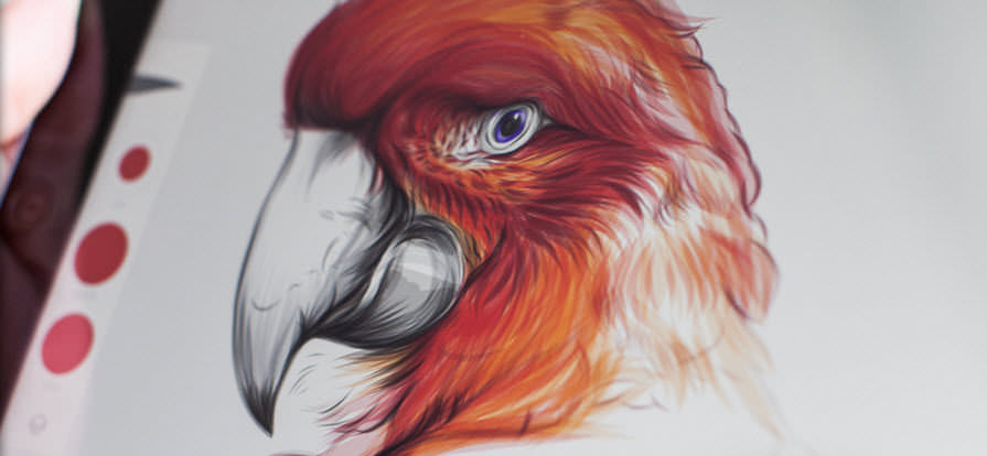 895x414 Design Software Graphic Creation - Adobe Illustrator Painting