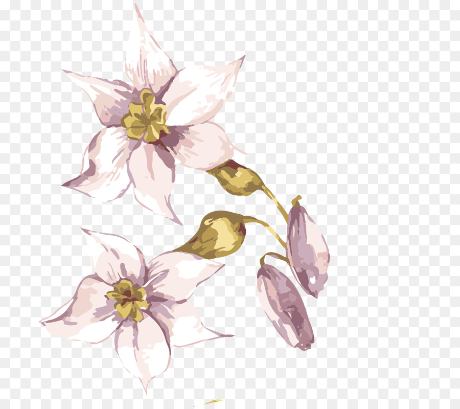 900x800 Download Adobe Illustrator Flower Hand Painted Flowers Beautiful - Adobe Illustrator Painting