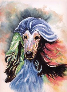 218x300 Afghan Hound Paintings - Afghan Hound Painting