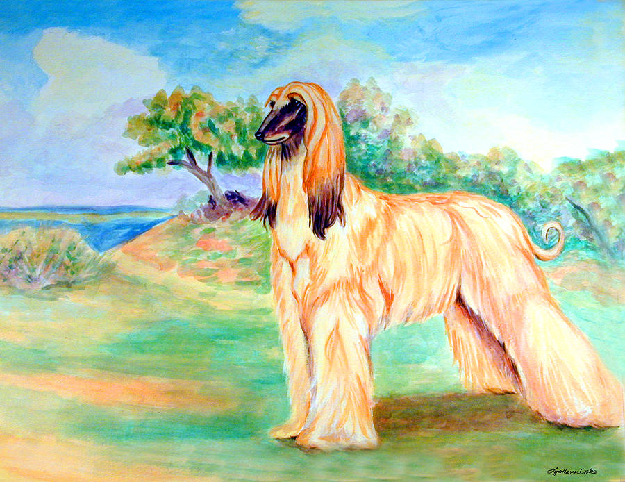 900x694 Anastazi Sun - Afghan Hound Painting