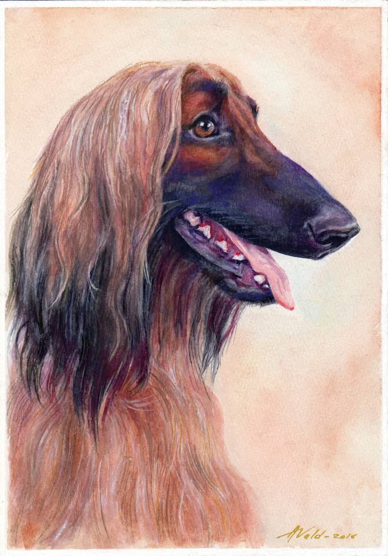 770x1105 Saatchi Art Afghan Hound Original Watercolor Painting Painting By - Afghan Hound Painting