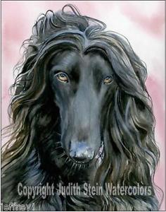 236x300 Afghan Hound Dog Art Print Of Watercolor Painting Artist Judith - Afghan Hound Painting