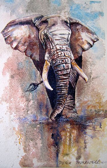 366x573 African Wildlife - African Animal Painting