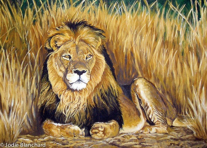 700x501 African Animal Lion Painting Pride Of The Plains 5 X 7 Print - African Animal Painting