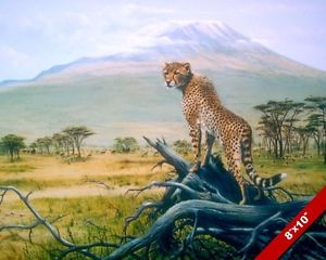 300x240 Wild Cheetah Cat At Mt Kilimanjaro Africa Animal Painting Art Real - African Animal Painting