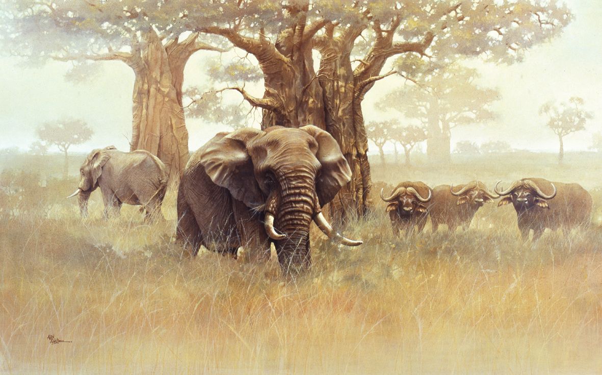 1181x735 How To Paint Wildlife In Oils - African Animal Painting