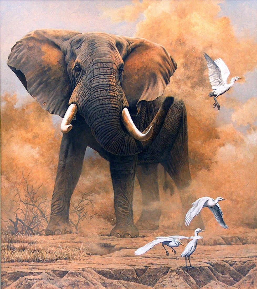 978x1100 African Elephants African Elephant - African Elephant Painting