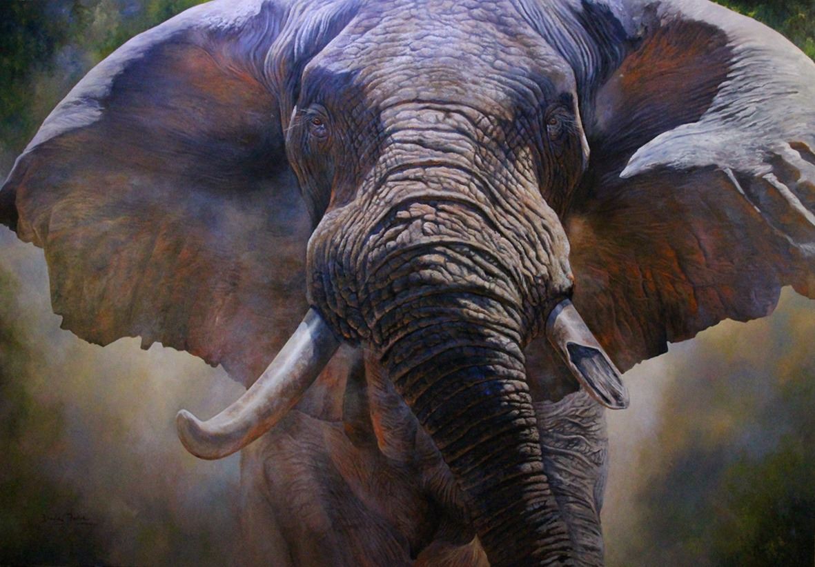 1181x822 Close Up - African Elephant Painting