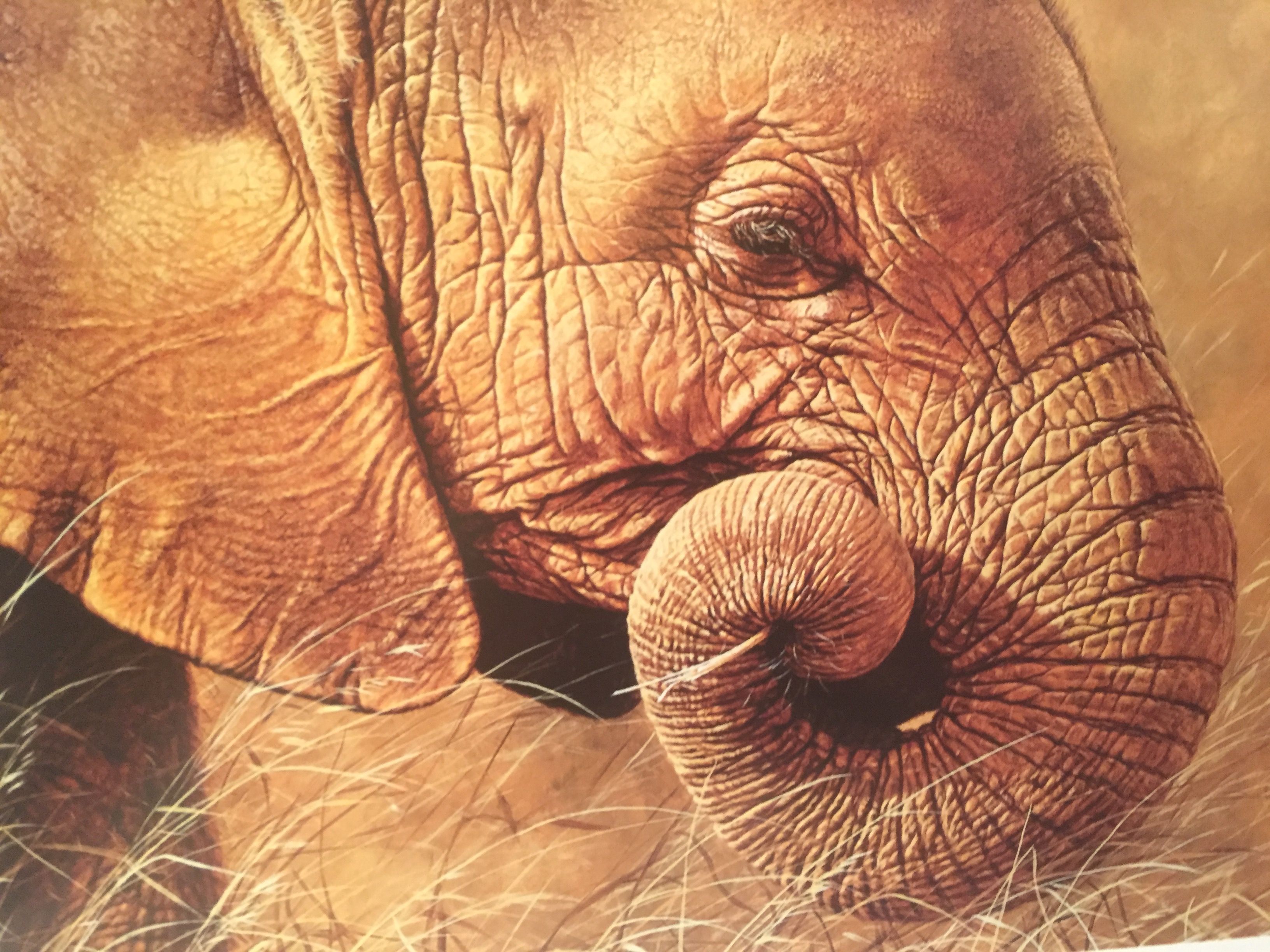 3264x2448 Toothpick - African Elephant Painting